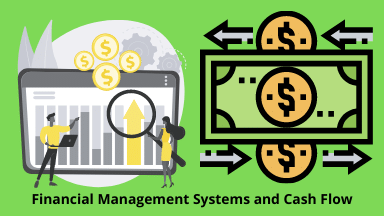 Financial Management Systems and Cash Flow 2