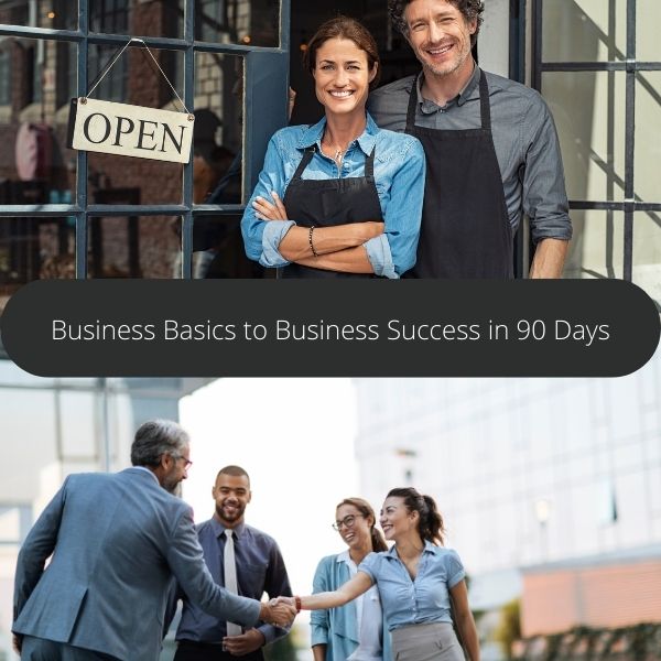 Business Basics to Business Success in 90 Days - Consultancy DD