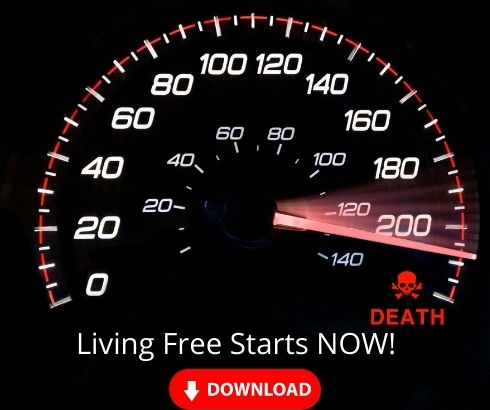 Living Free Starts Now - 9 Step Business Healthcheck Accelerator